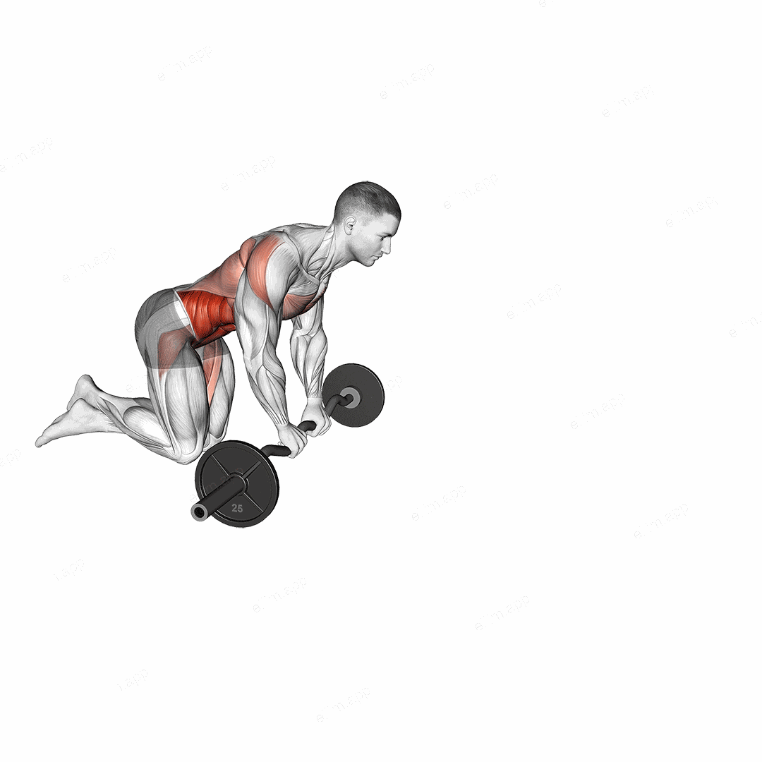 EZ Bar Knelling Rollout exercise targeting Waist