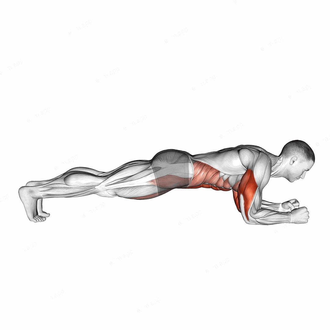 Elbow Up and Down Dynamic Plank exercise targeting Rectus Abdominis and Triceps Brachii