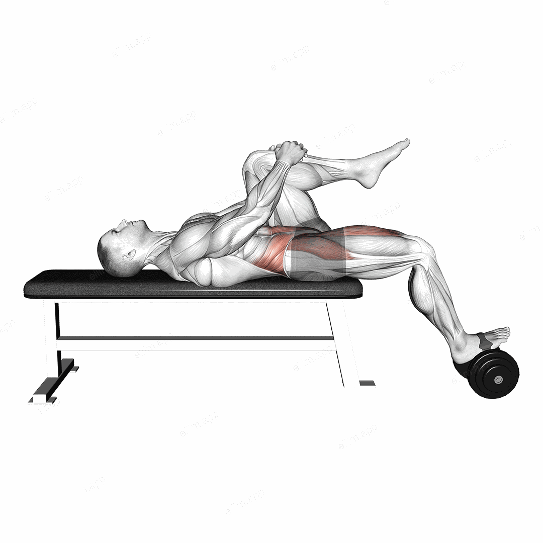 Weighted Dumbbell Lying Knee Raise exercise targeting Hips