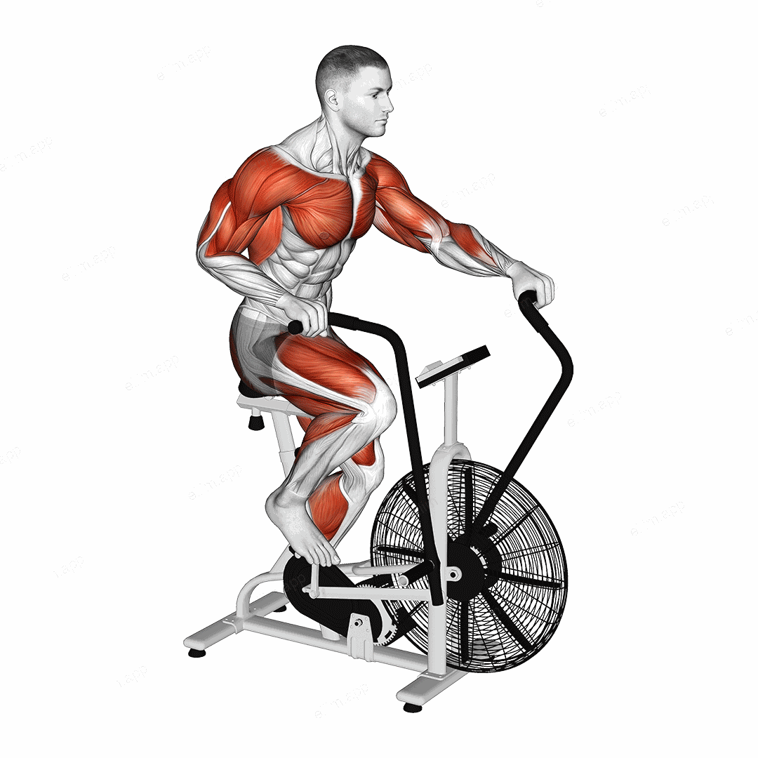 Assault Bike Run exercise targeting Cardio