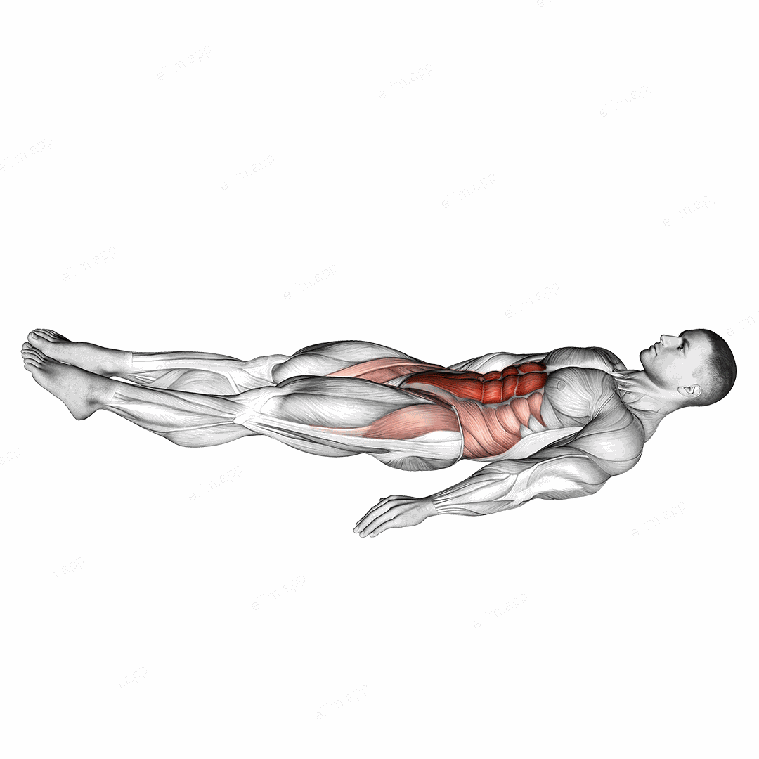 Bottoms Up exercise targeting Waist and Rectus Abdominis