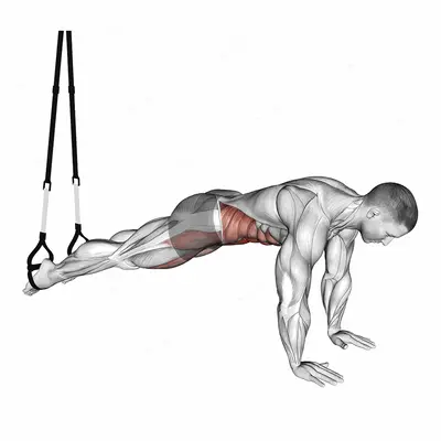 Suspender Pike exercise targeting Hips