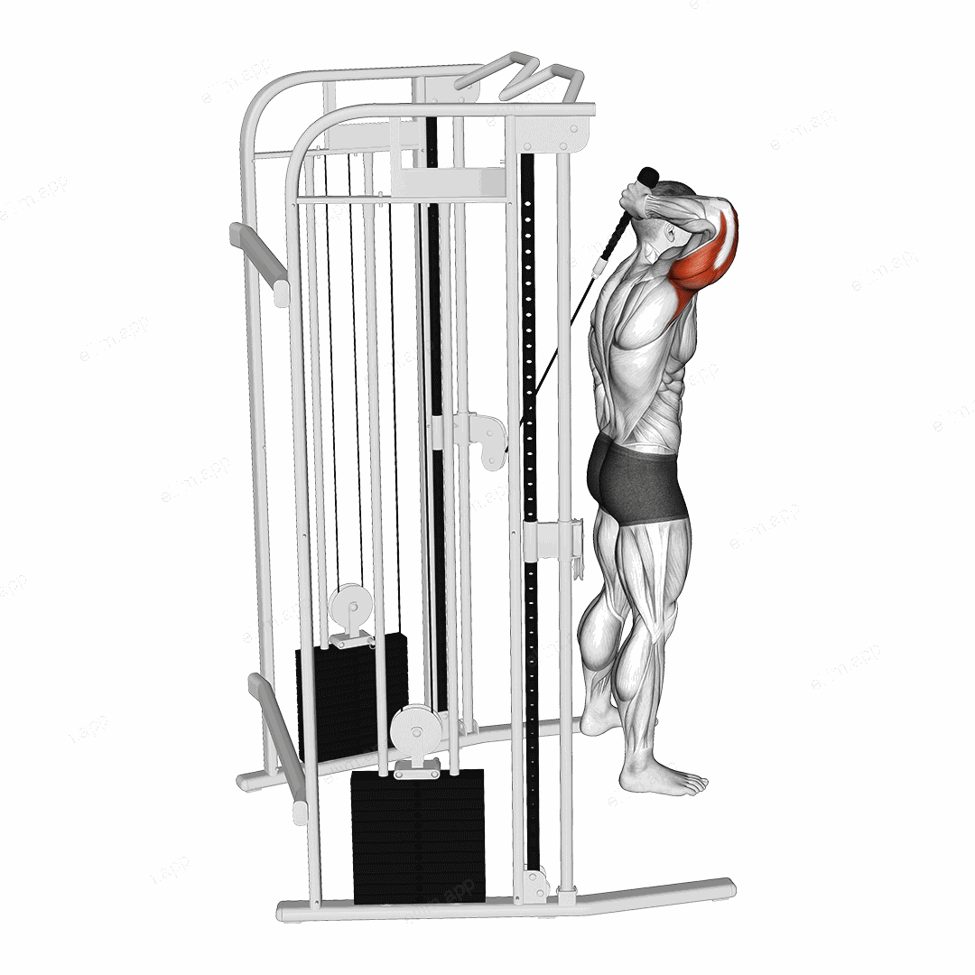 Cable Overhead Single Arm Triceps Extension (rope attachment) exercise targeting Upper Arms and Triceps Brachii