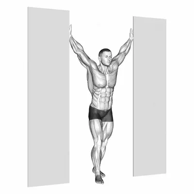 Standing Upright Shoulders Stretch exercise targeting Shoulders