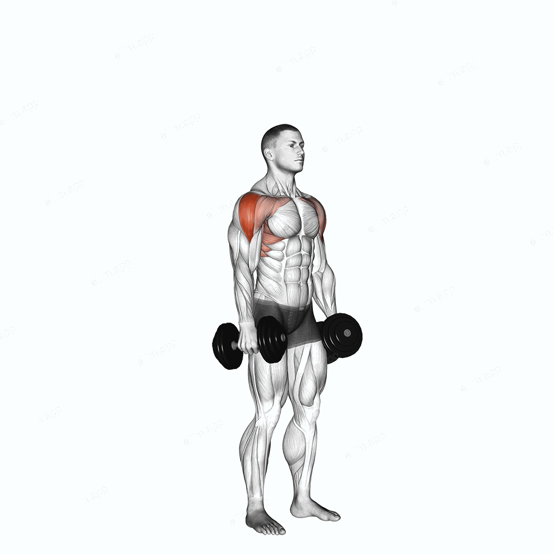 Dumbbell Cuban Press exercise targeting Shoulders and Deltoid Lateral