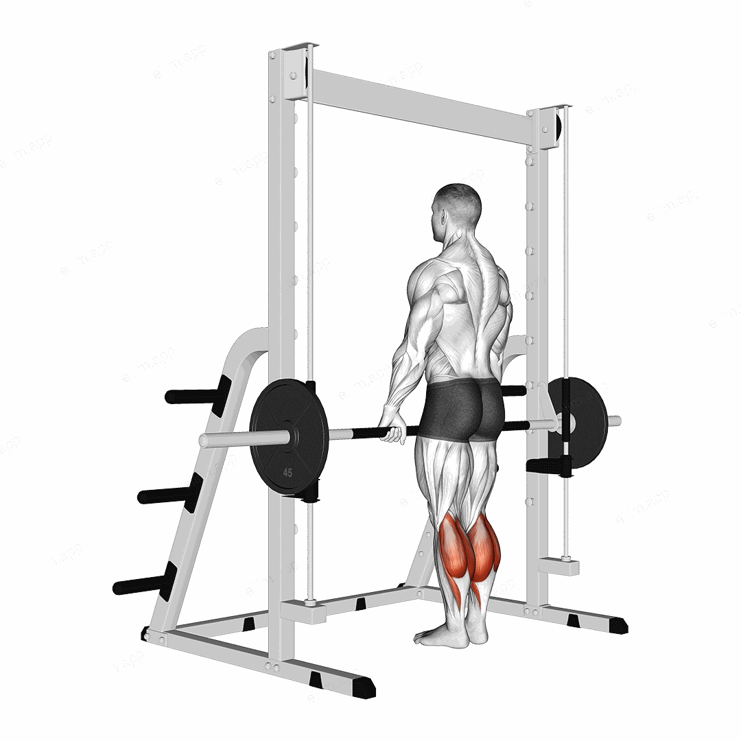 Smith Standing Leg Calf Raise exercise targeting Calves and Gastrocnemius
