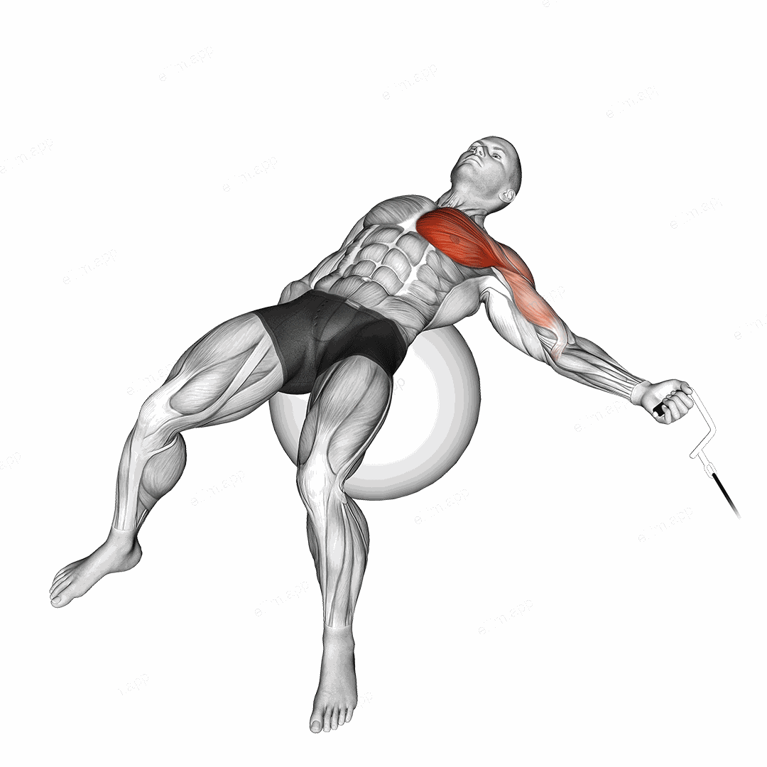 Cable One Arm Fly on Exercise Ball exercise targeting Chest and Pectoralis Major Sternal Head