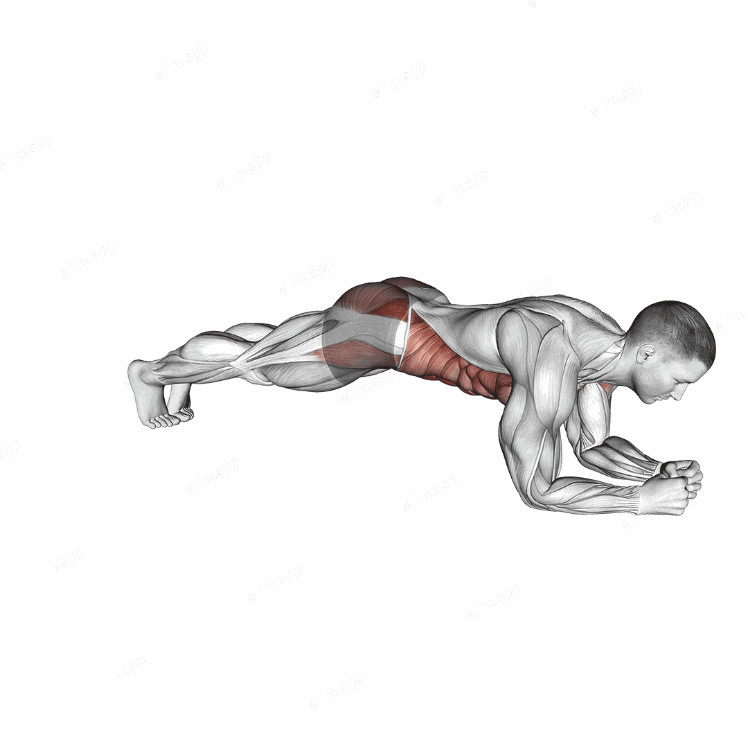 Plank Jack on Elbows exercise targeting Plyometrics