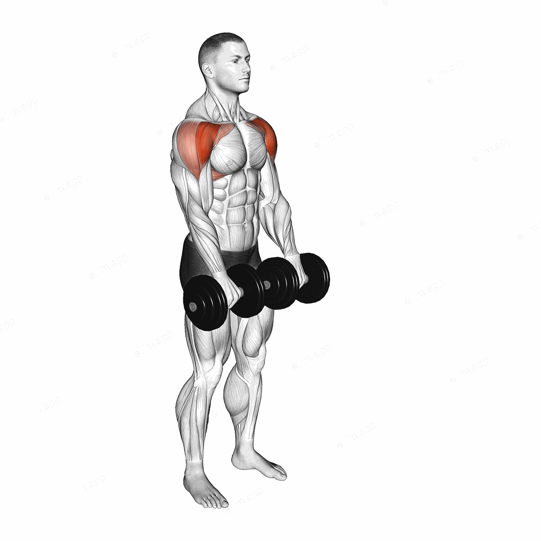 Dumbbell Front Raise exercise targeting Shoulders and Deltoid Anterior