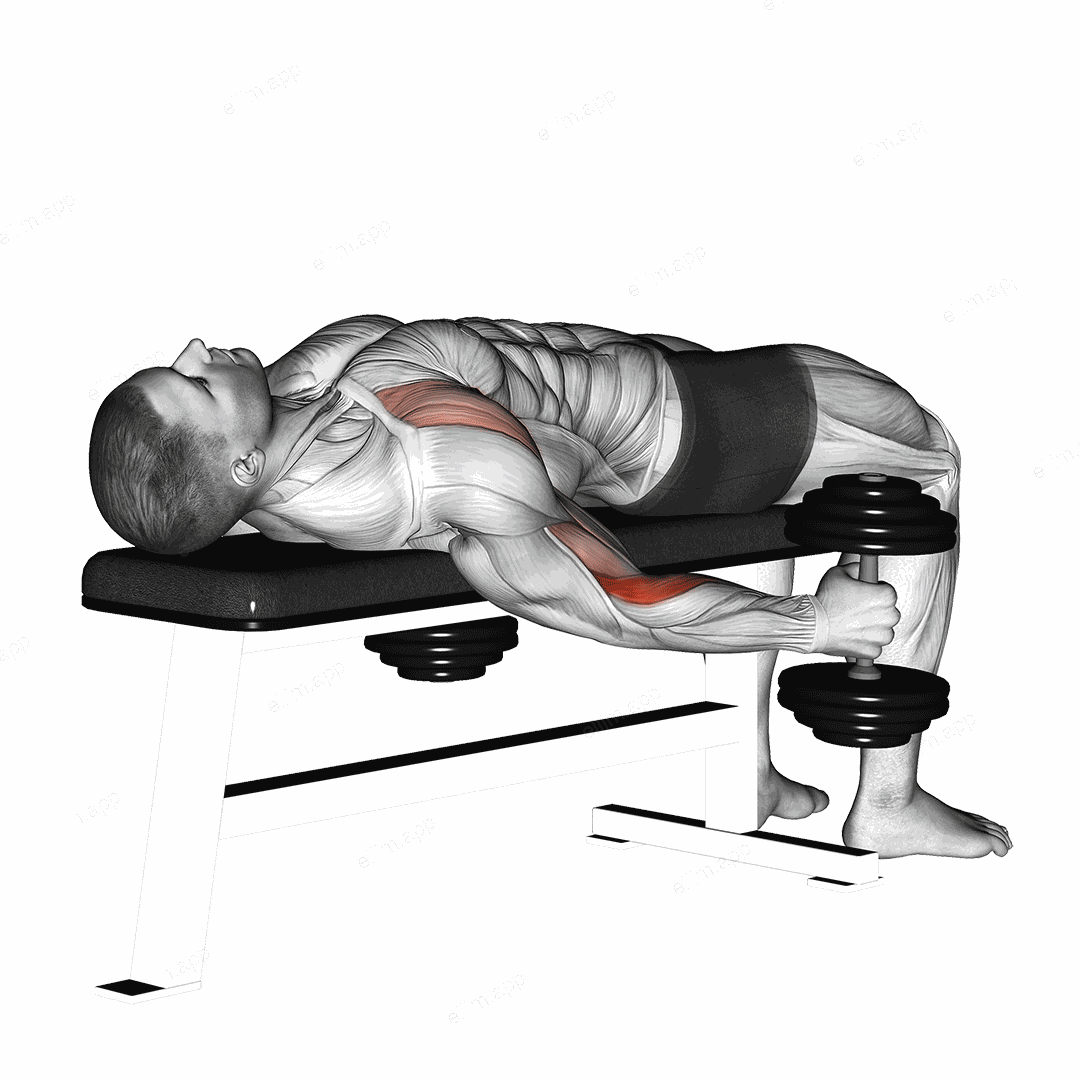 Dumbbell Lying Supine Curl exercise targeting Forearms and Brachioradialis