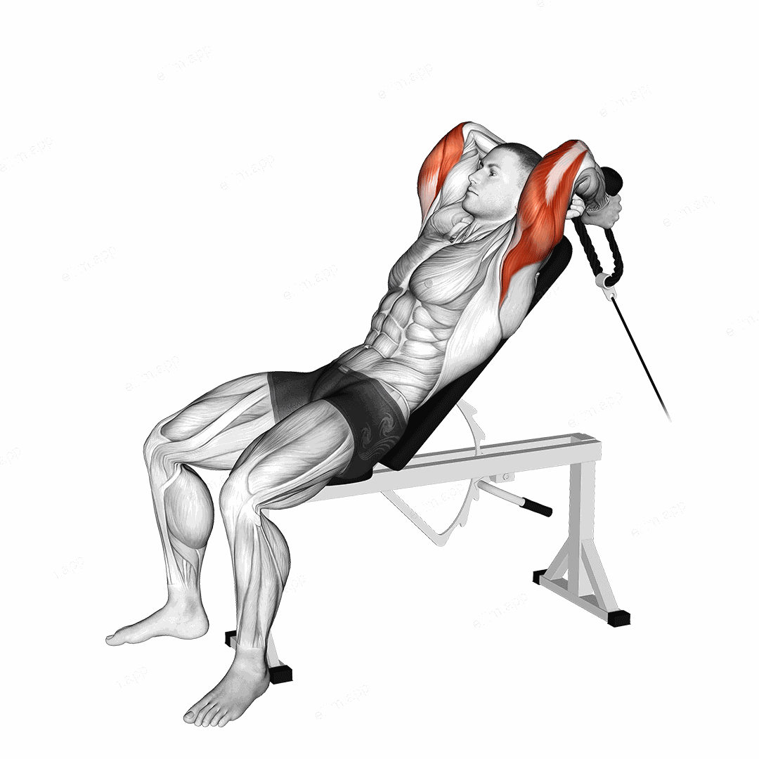 Cable Rope Incline Tricep Extension exercise targeting Upper Arms