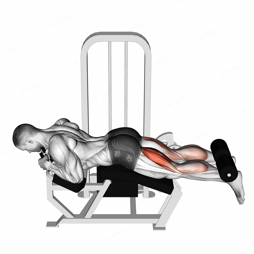 Lever Lying Leg Curl exercise targeting Thighs and Hamstrings