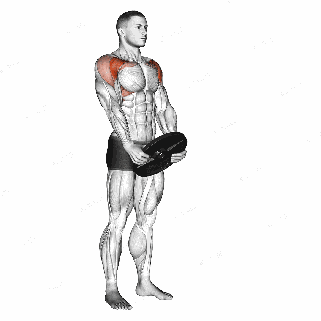 Weighted Front Raise exercise targeting Shoulders and Deltoid Anterior