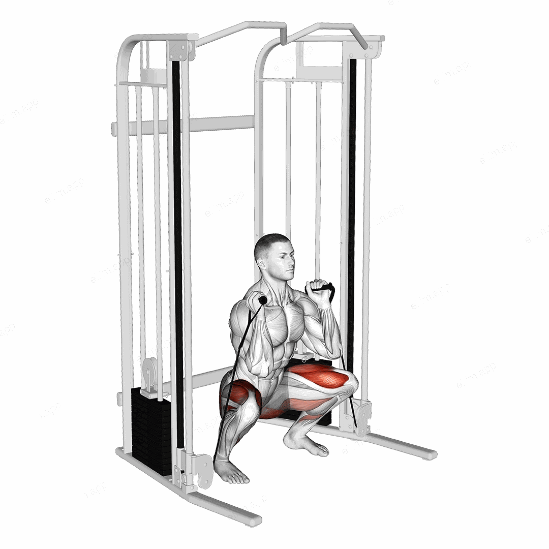 Cable Front Squat exercise targeting Thighs and Gluteus Maximus