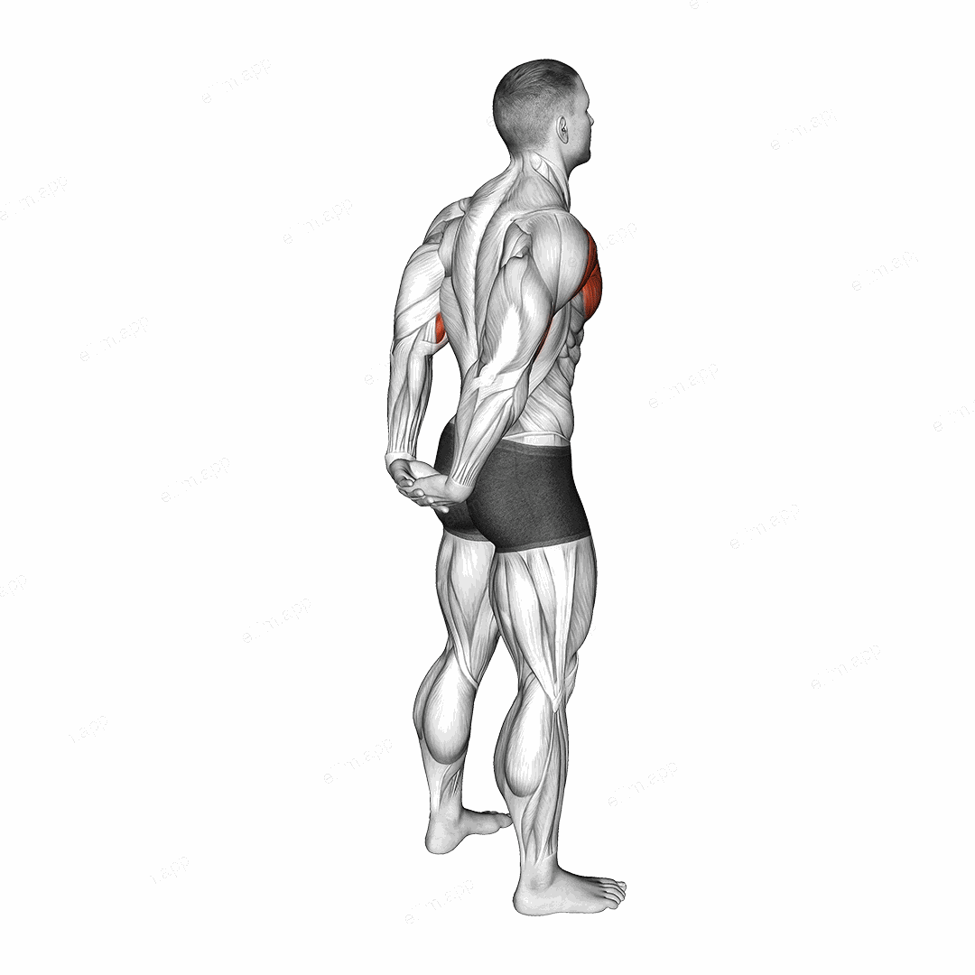 Standing Reverse Shoulder Stretch exercise targeting Shoulders