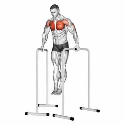 Wide Grip Chest Dip on High Parallel Bars exercise targeting Chest