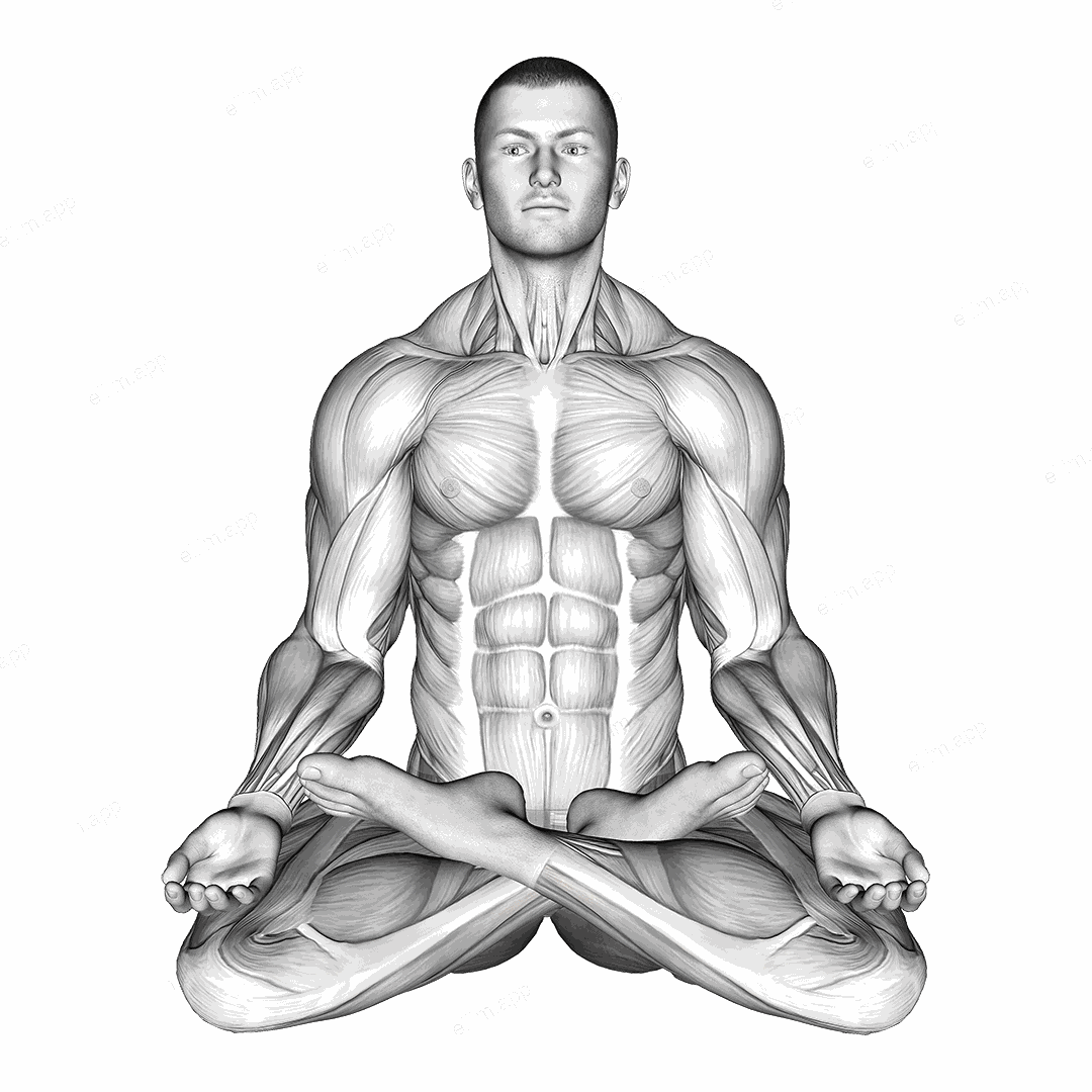 Full Lotus Yoga Pose exercise targeting Hips and Gluteus Medius