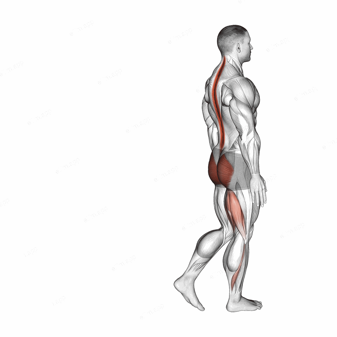 Bodyweight Single Leg RDL exercise targeting Hips