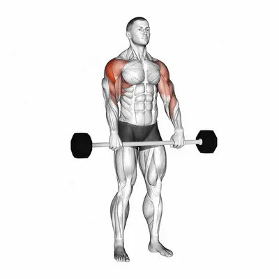 Barbell Shoulder Grip Upright Row exercise targeting Shoulders and Deltoid Lateral