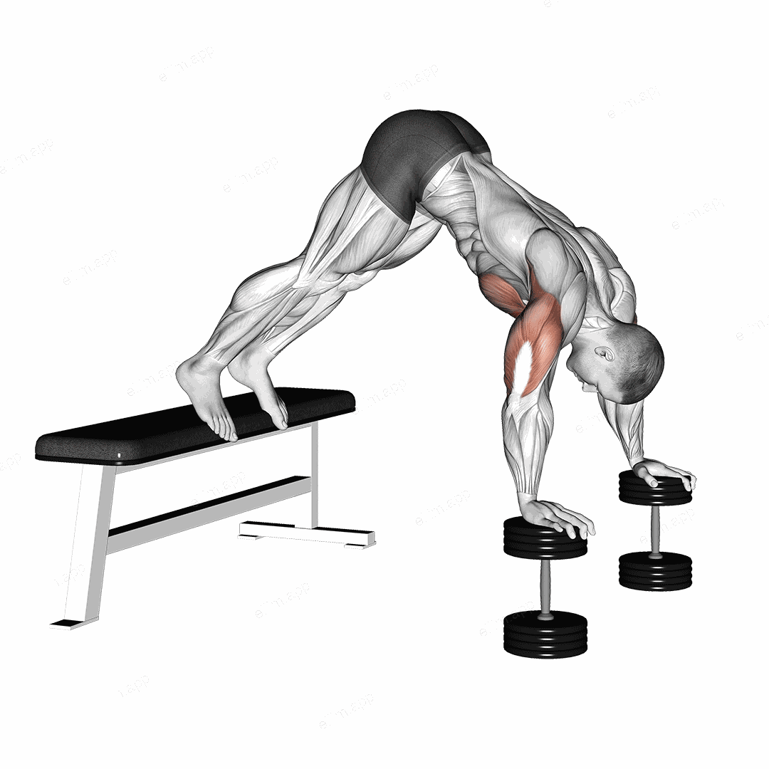 Pike Push-up (on Bench) exercise targeting Chest