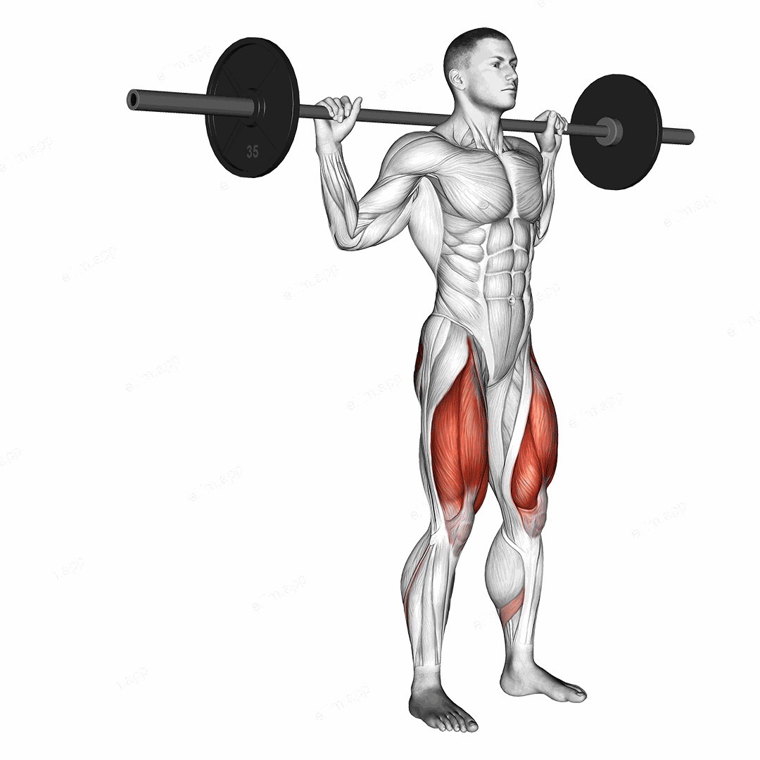 Barbell Rear Lunge exercise targeting Thighs and Gluteus Maximus