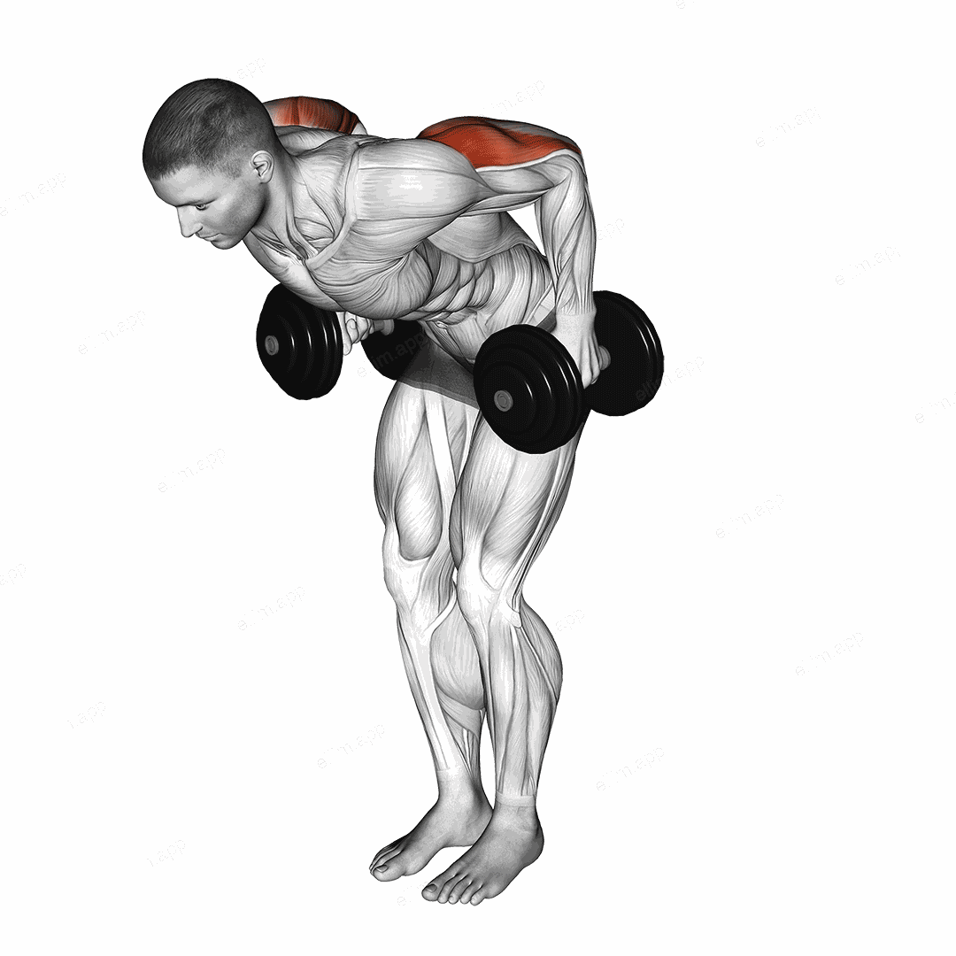 Dumbbell Standing Kickback exercise targeting Upper Arms and Triceps Brachii