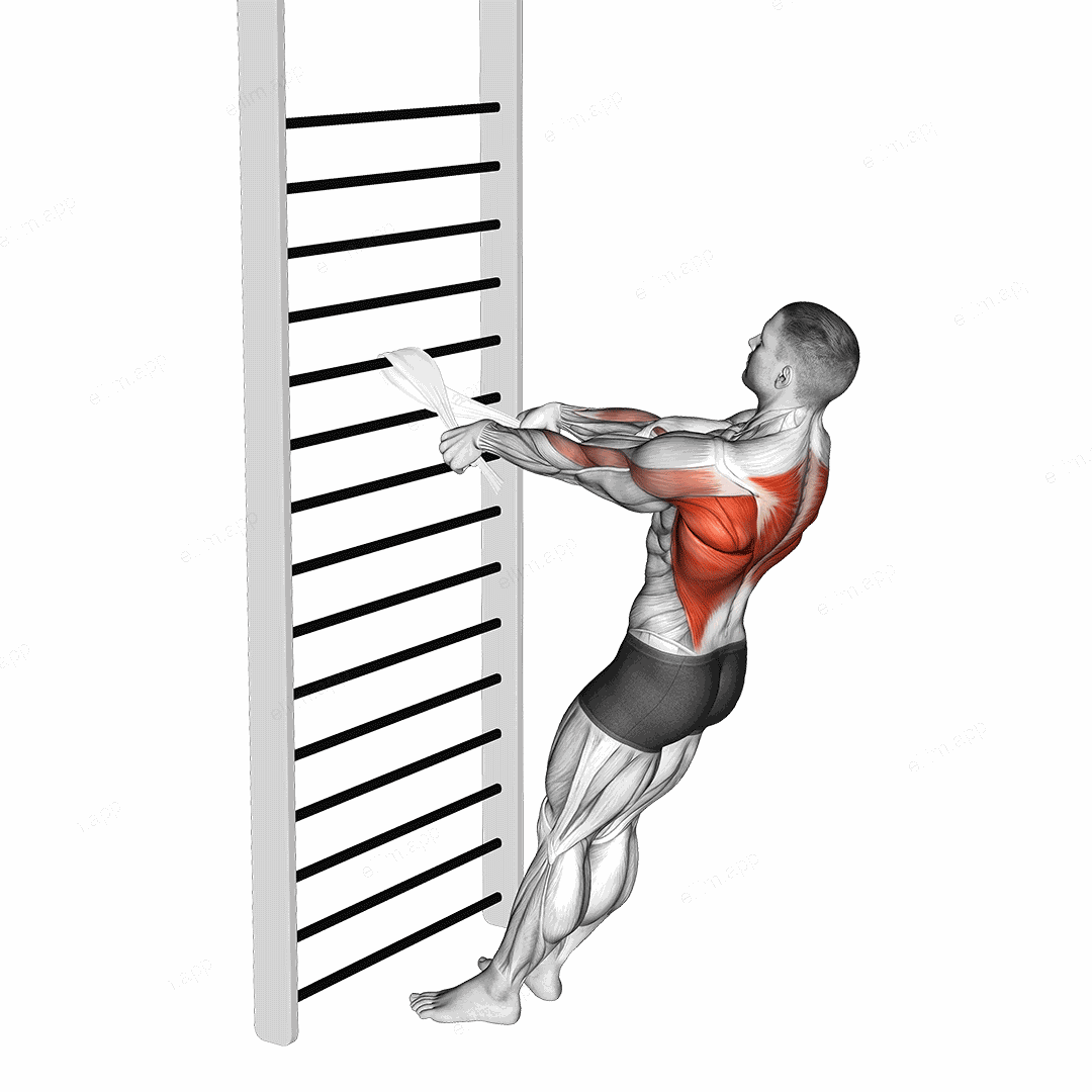 Bodyweight Standing Row (with towel) exercise targeting Back and Infraspinatus