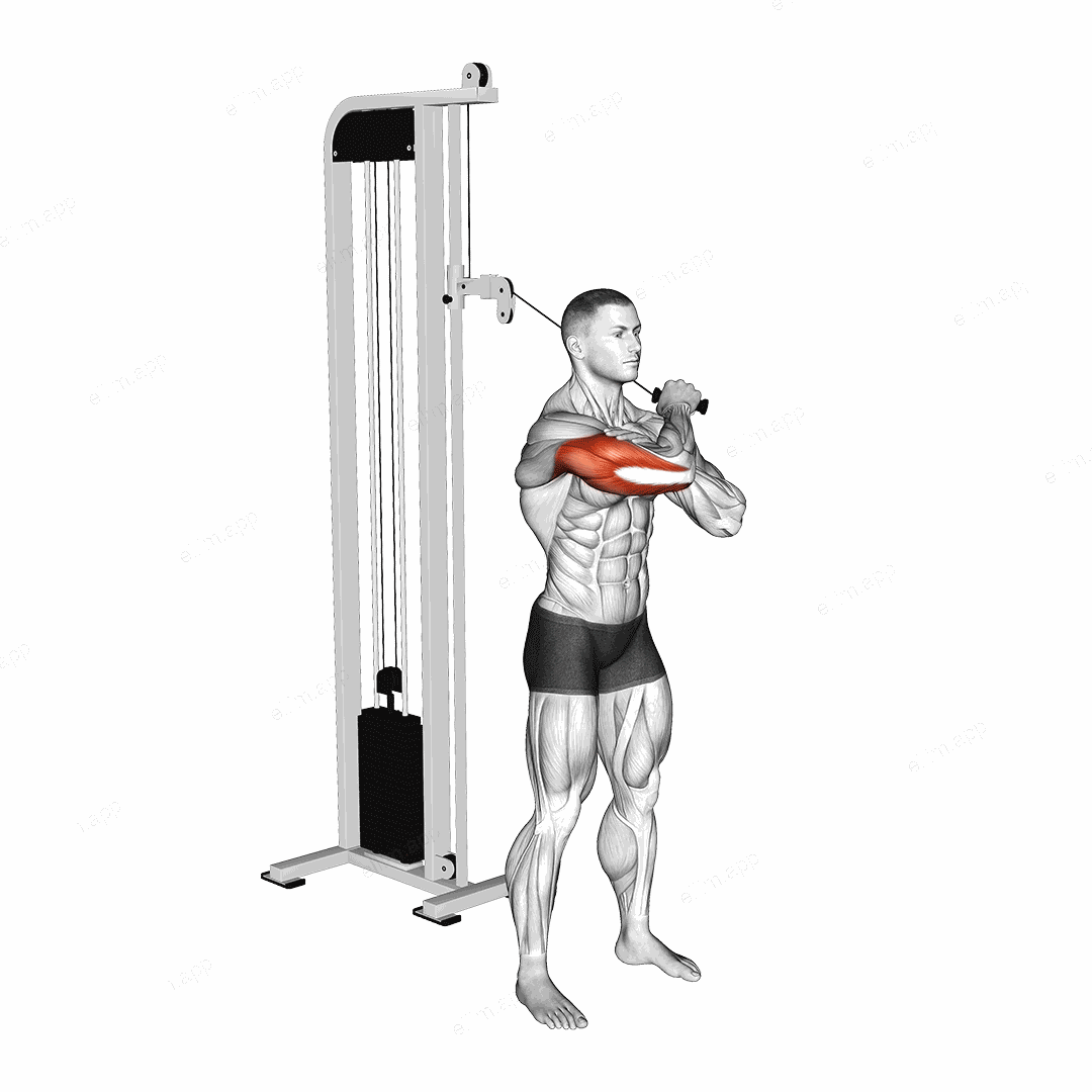 Cable Standing Single Arm Horizontal Triceps Extension exercise targeting Upper Arms