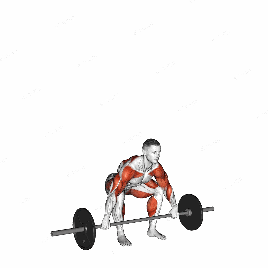 Barbell Muscle Snatch exercise targeting Weightlifting