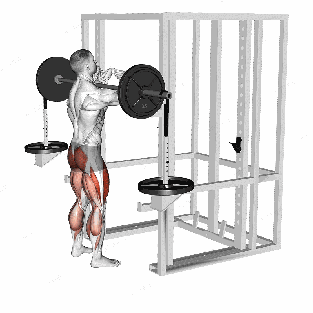 Barbell Weighted Front Chest Squat exercise targeting Thighs and Gluteus Maximus