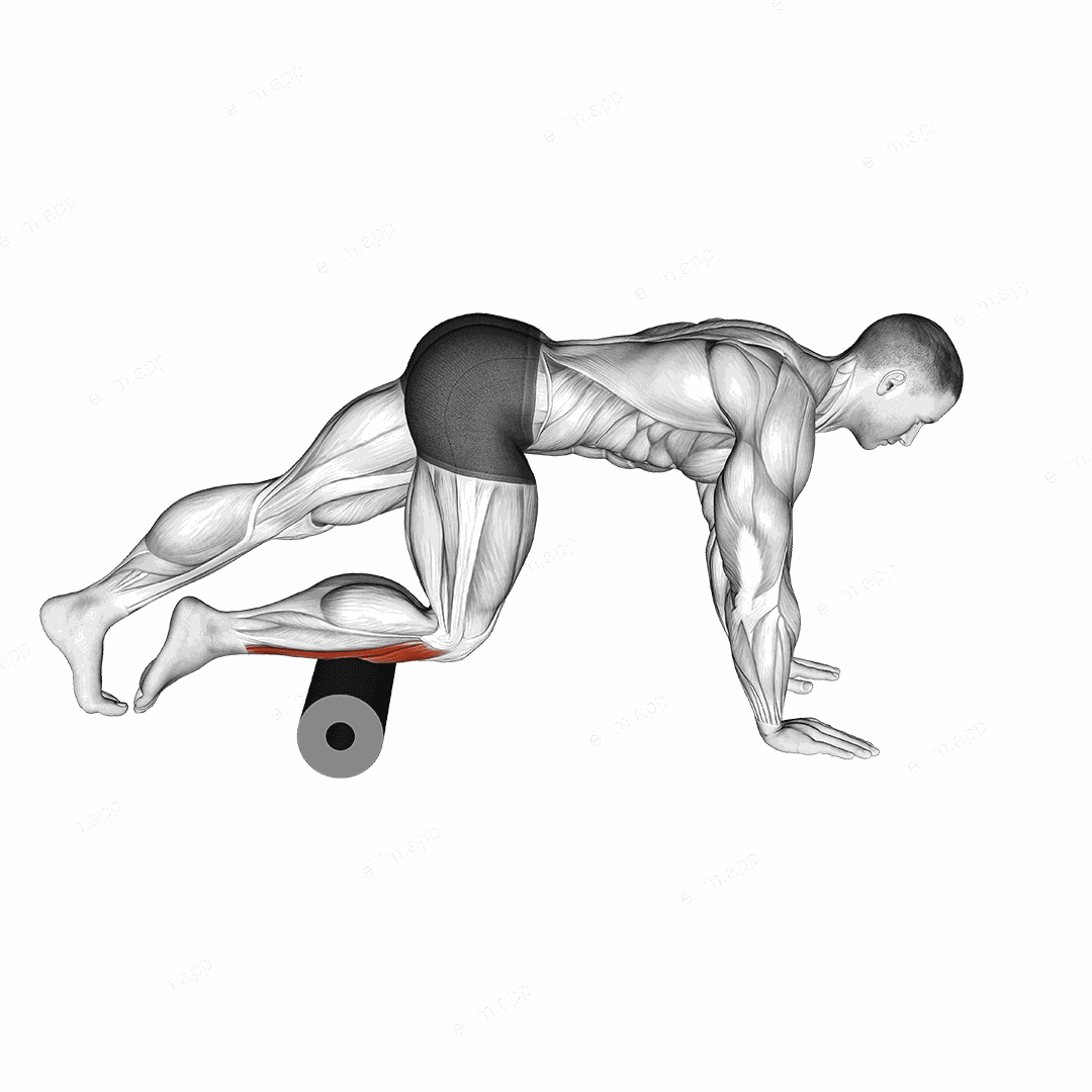 Roll Anterior Calf Foam Rolling exercise targeting Calves