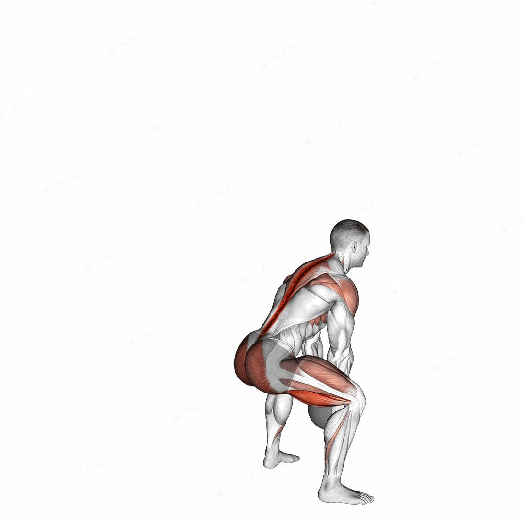 Medicine Ball Backward Throw exercise targeting Hips and Erector Spinae