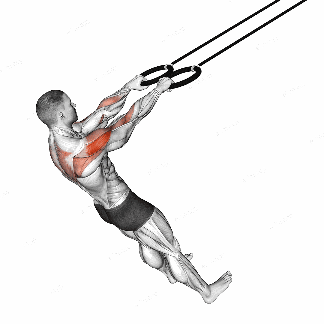 Ring Face Pull exercise targeting Shoulders