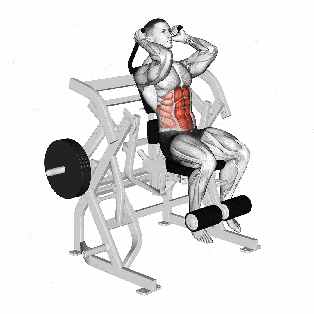Lever Seated Leg Raise Crunch (plate loaded) exercise targeting Waist and Rectus Abdominis