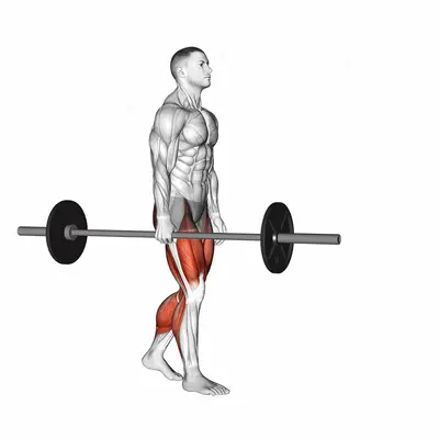 Barbell Suitcase Carry exercise targeting Thighs