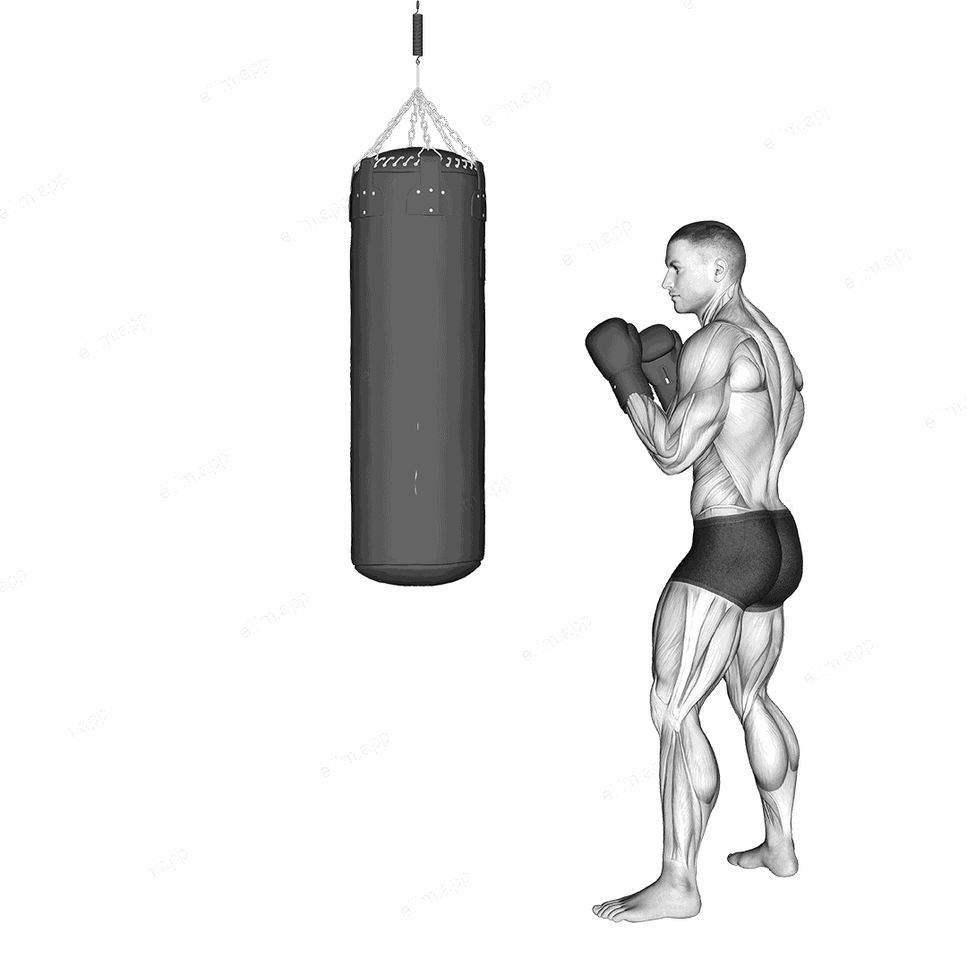 Front Snap Kick Kickboxing (with boxing bag) exercise targeting Plyometrics