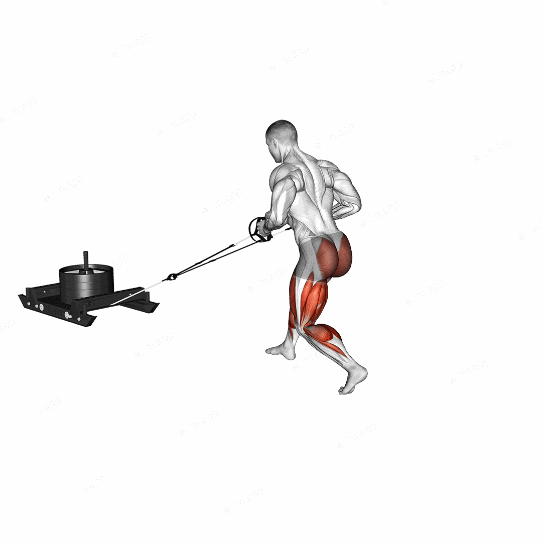 Power Sled Rear Batwing exercise targeting Thighs