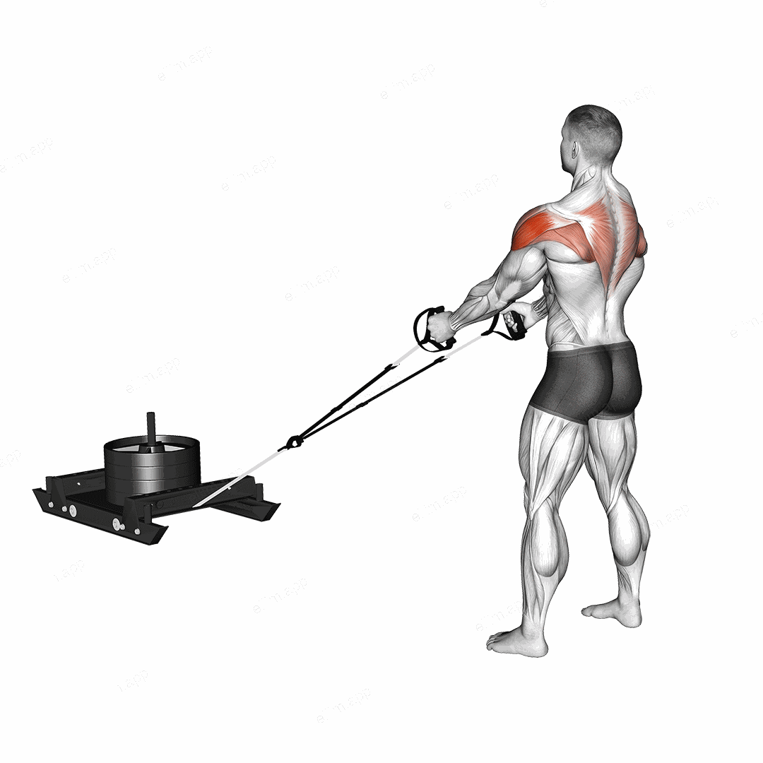Power Sled Rear Fly exercise targeting Shoulders