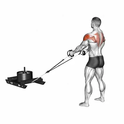 Power Sled Rear Fly exercise targeting Shoulders