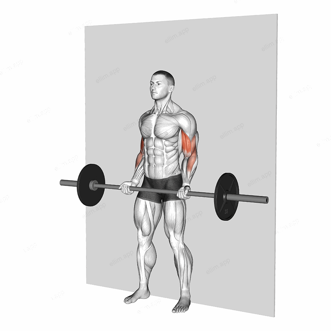 Barbell Strict Curl exercise targeting Upper Arms