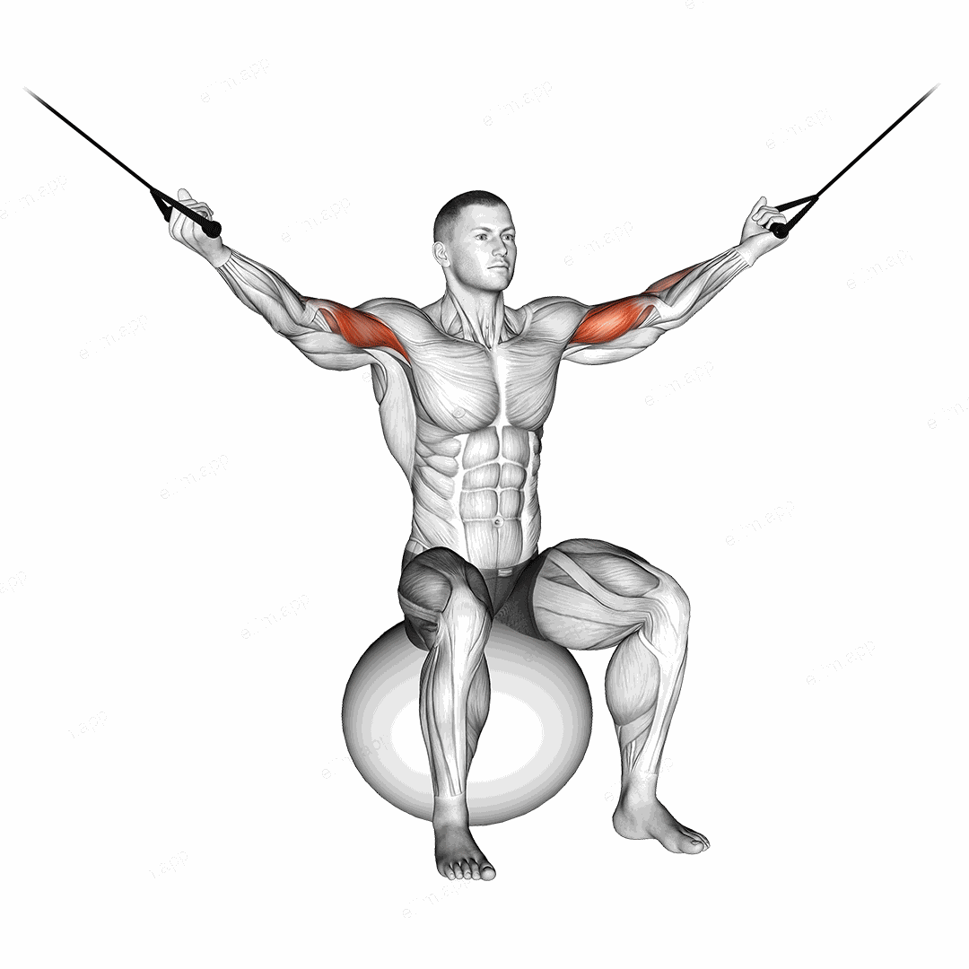 Cable Overhead Curl on Exercise Ball exercise targeting Upper Arms