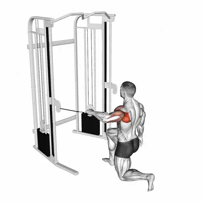 Cable Kneeling Shoulder 90 degrees External Rotation Press exercise targeting Back