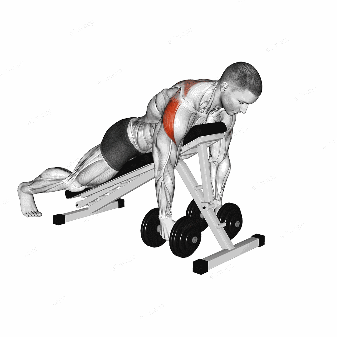 Dumbbell Prone Rear Delt Swing exercise targeting Shoulders and Deltoid Posterior