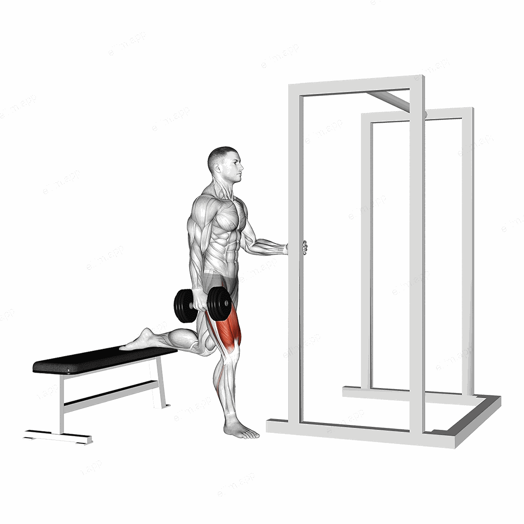 Dumbbell Assisted Bulgarian Split Squat exercise targeting Thighs