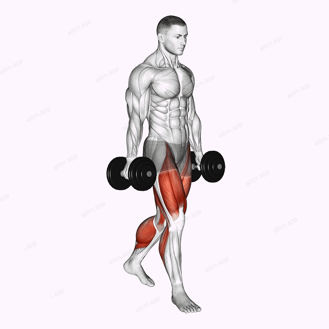 Farmers walk exercise targeting Thighs and Adductor Magnus