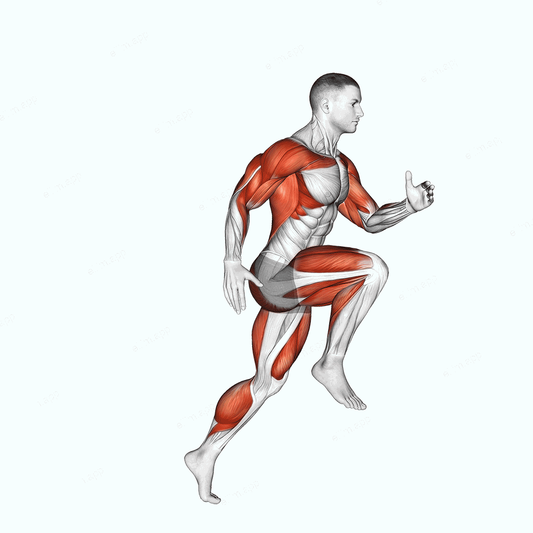 Wheel Run exercise targeting Cardio