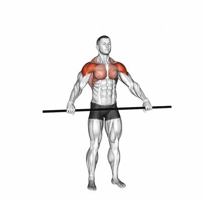 PVC Pass Through exercise targeting Shoulders and Deltoid Anterior