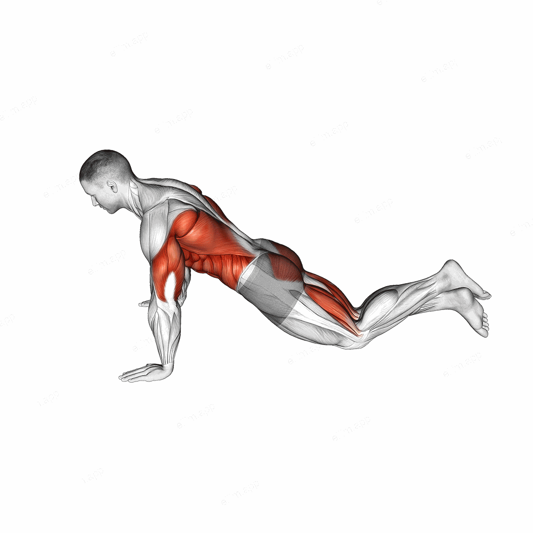 Kneeling Modified Hindu Push-up exercise targeting Waist