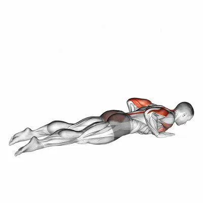 Seal Push up exercise targeting Back