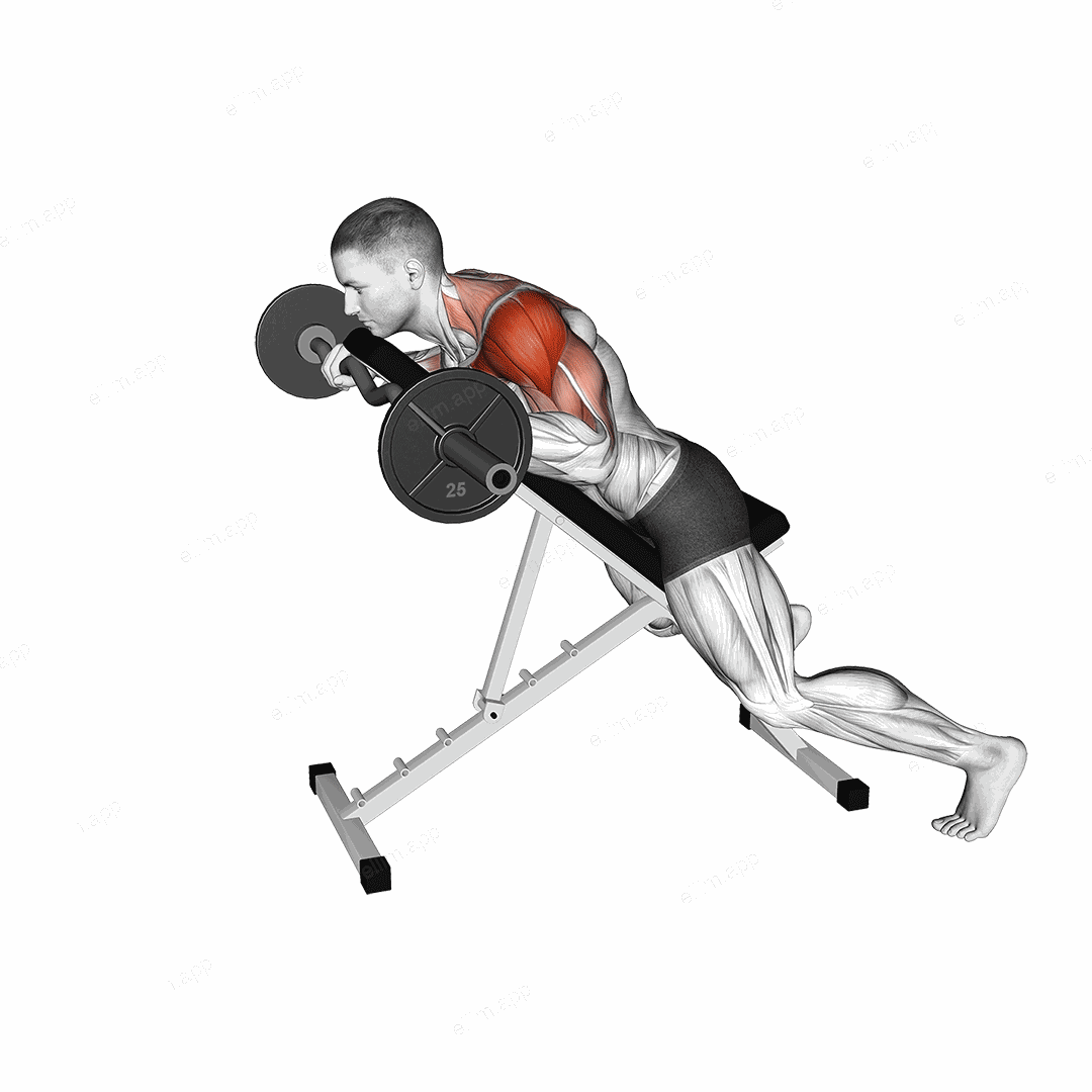 EZ Barbell Anti Gravity Press exercise targeting Shoulders and Deltoid Anterior
